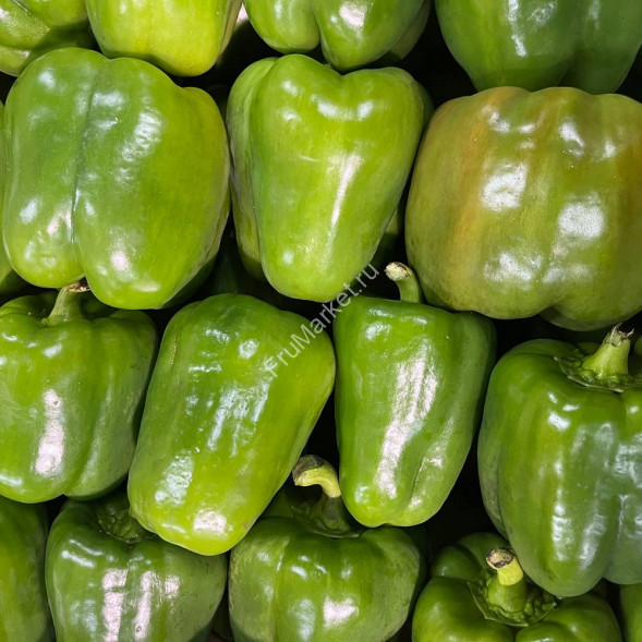 Болгарский перец Кубик зеленый