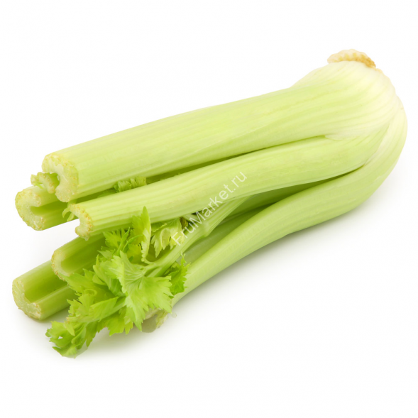 Стебель сельдерея