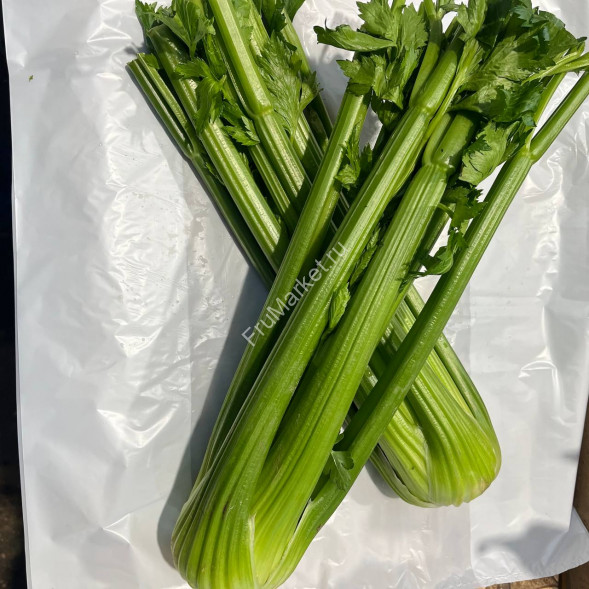 Стебель сельдерея