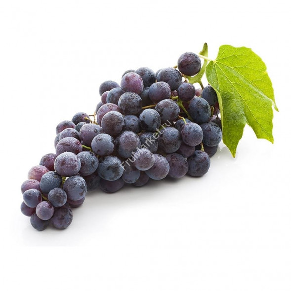 Виноград Виноград Изабелла Молдавия