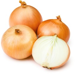 Лук репчатый