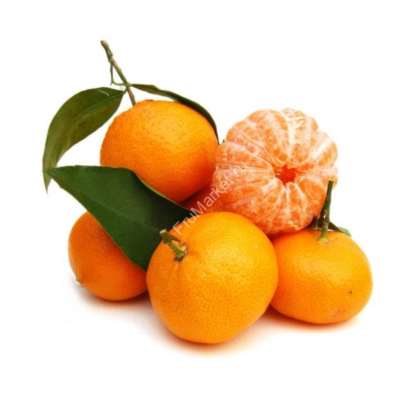 Мандарины Беби на ветке