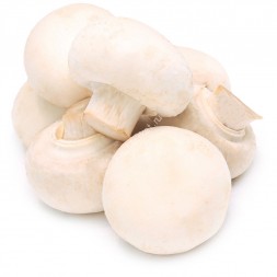 Шампиньоны свежие