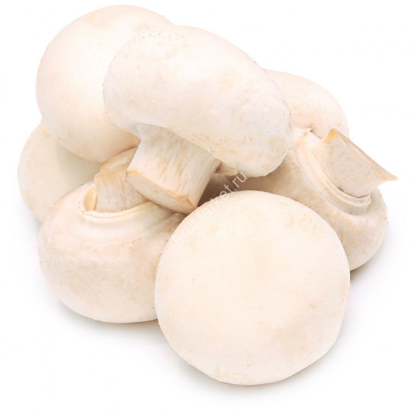Шампиньоны свежие