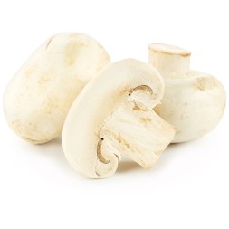 Шампиньоны свежие