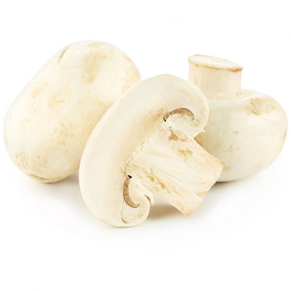 Шампиньоны свежие