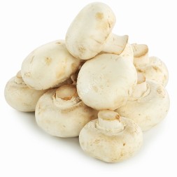 Шампиньоны свежие