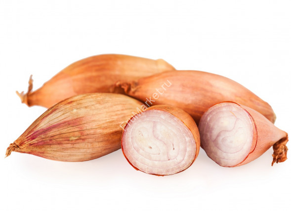 Лук Шалот