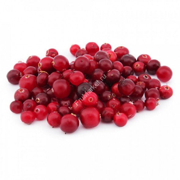 Клюква свежая садовая крупная