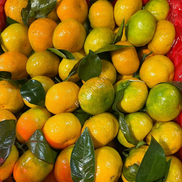 Мандарины Беби (мини) Китай