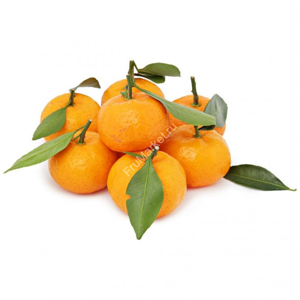Мандарины Беби (мини) Китай