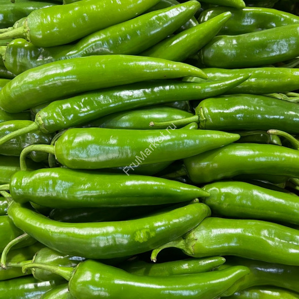 Зеленый острый перец Россия
