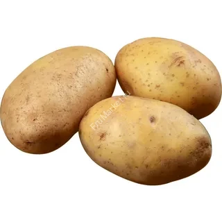 Картофель Королева Анна Россия