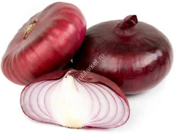 Красный Крымский (Ялтинский) лук