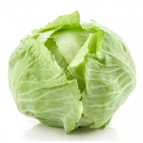 Капуста Слава 