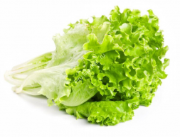Листья салата