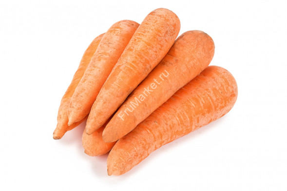 Морковь мытая