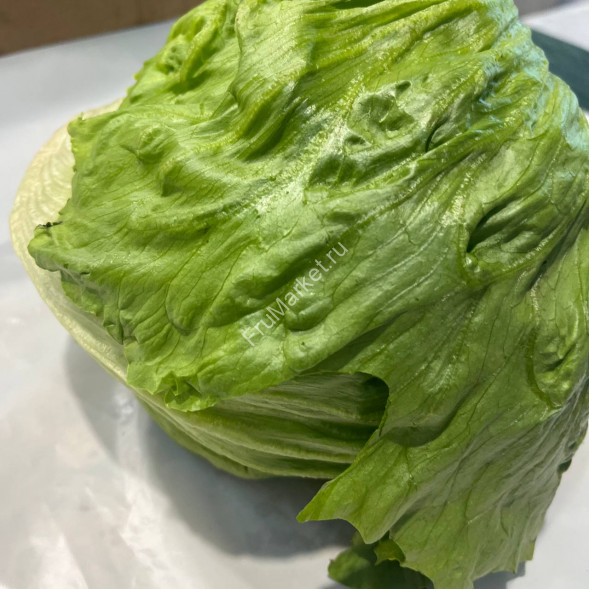 Салат айсберг