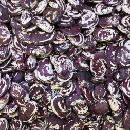 Фасоль крупная Узбекистан