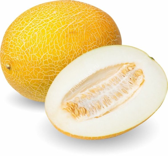 Дыня Гуляби 1 кг