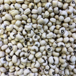 Фасоль Черный глаз Узбекистан