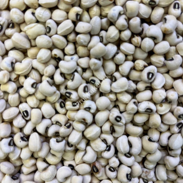 Фасоль Черный глаз Узбекистан