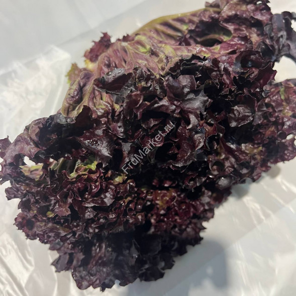 Салат Лоло Росса