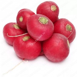 Редис красный