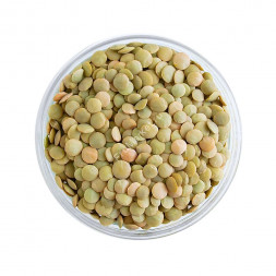 Чечевица Узбекистан