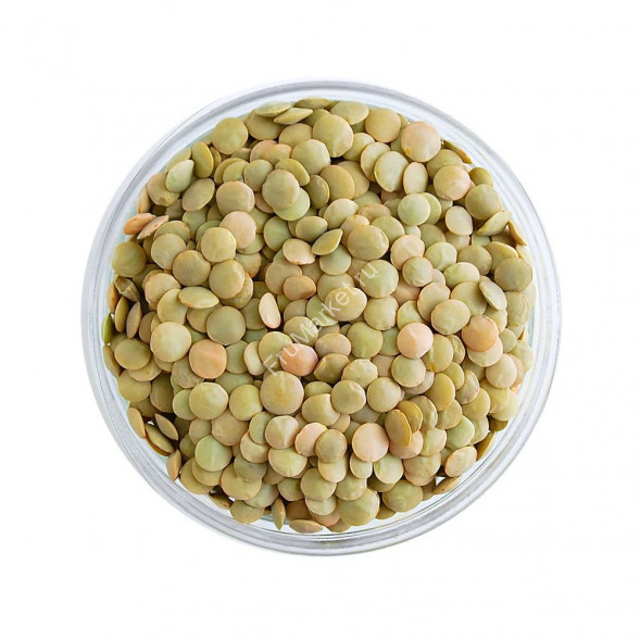 Чечевица Узбекистан