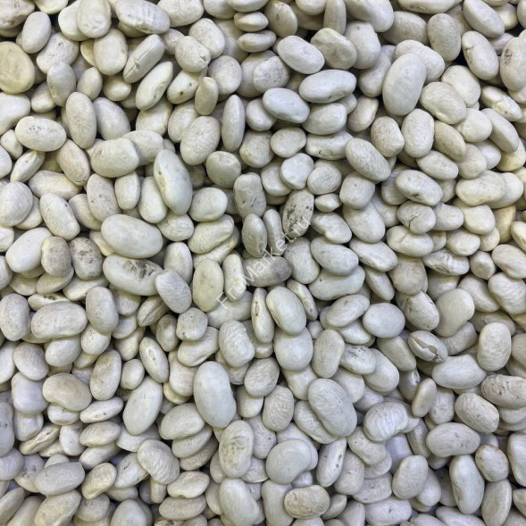 Фасоль белая Узбекистан