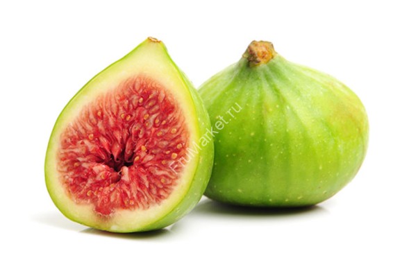 Инжир Зеленый