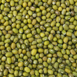 Маш Узбекистан