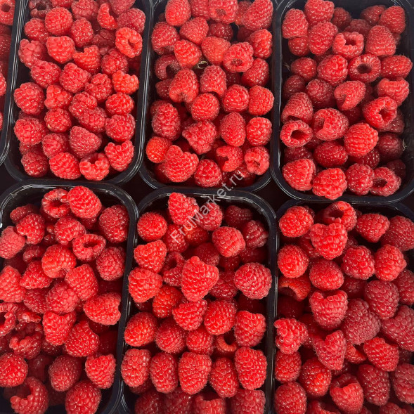 Свежая малина