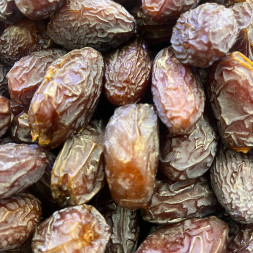 Финики Королевские Израиль