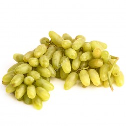 Виноград Дамские пальчики Узбекистан