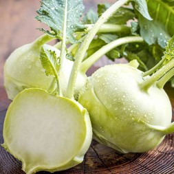 Капуста Кольраби