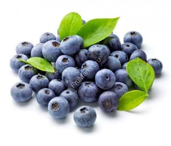 Свежая черника